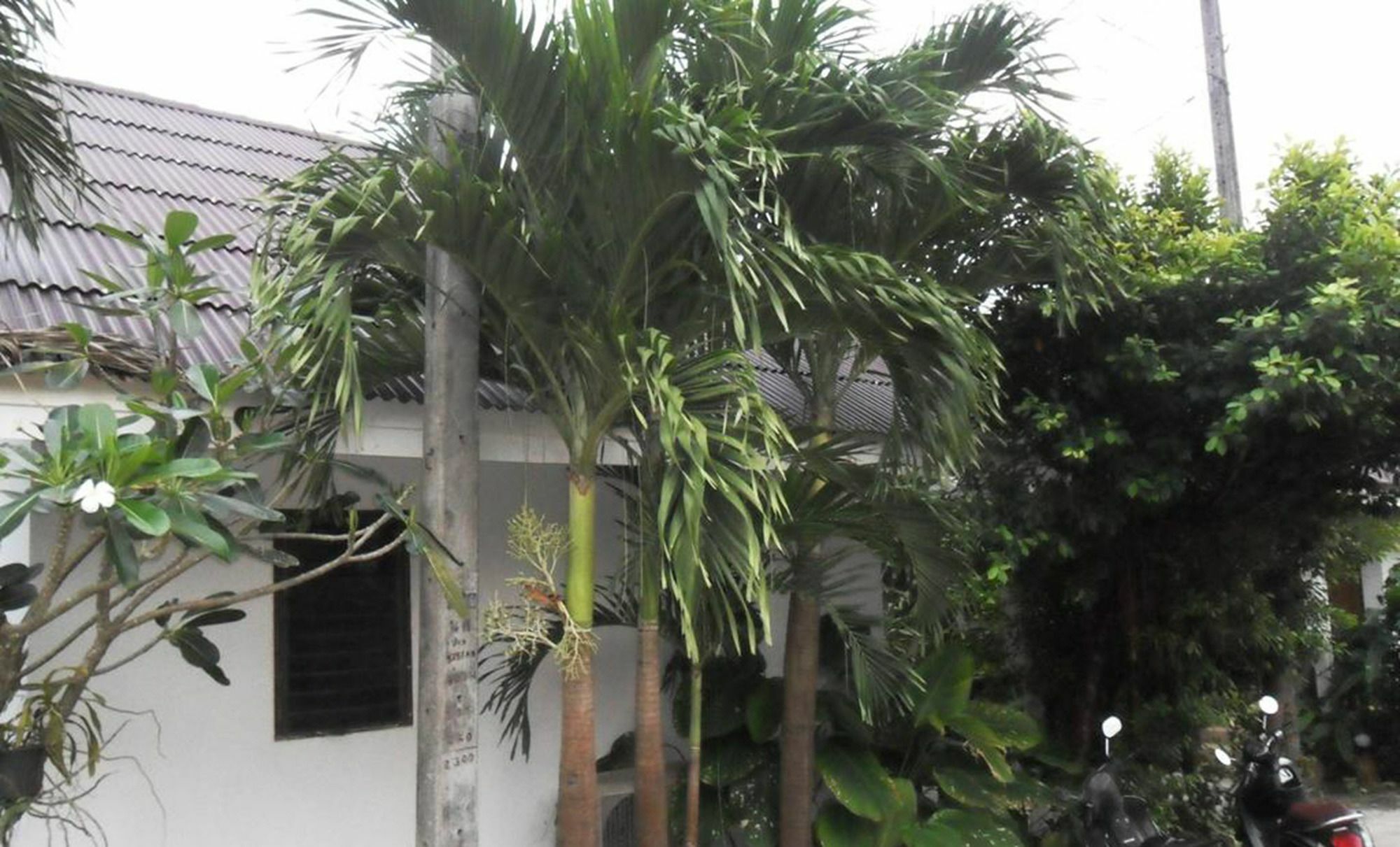 Aonang Sr Bungalows Ao Nang Εξωτερικό φωτογραφία