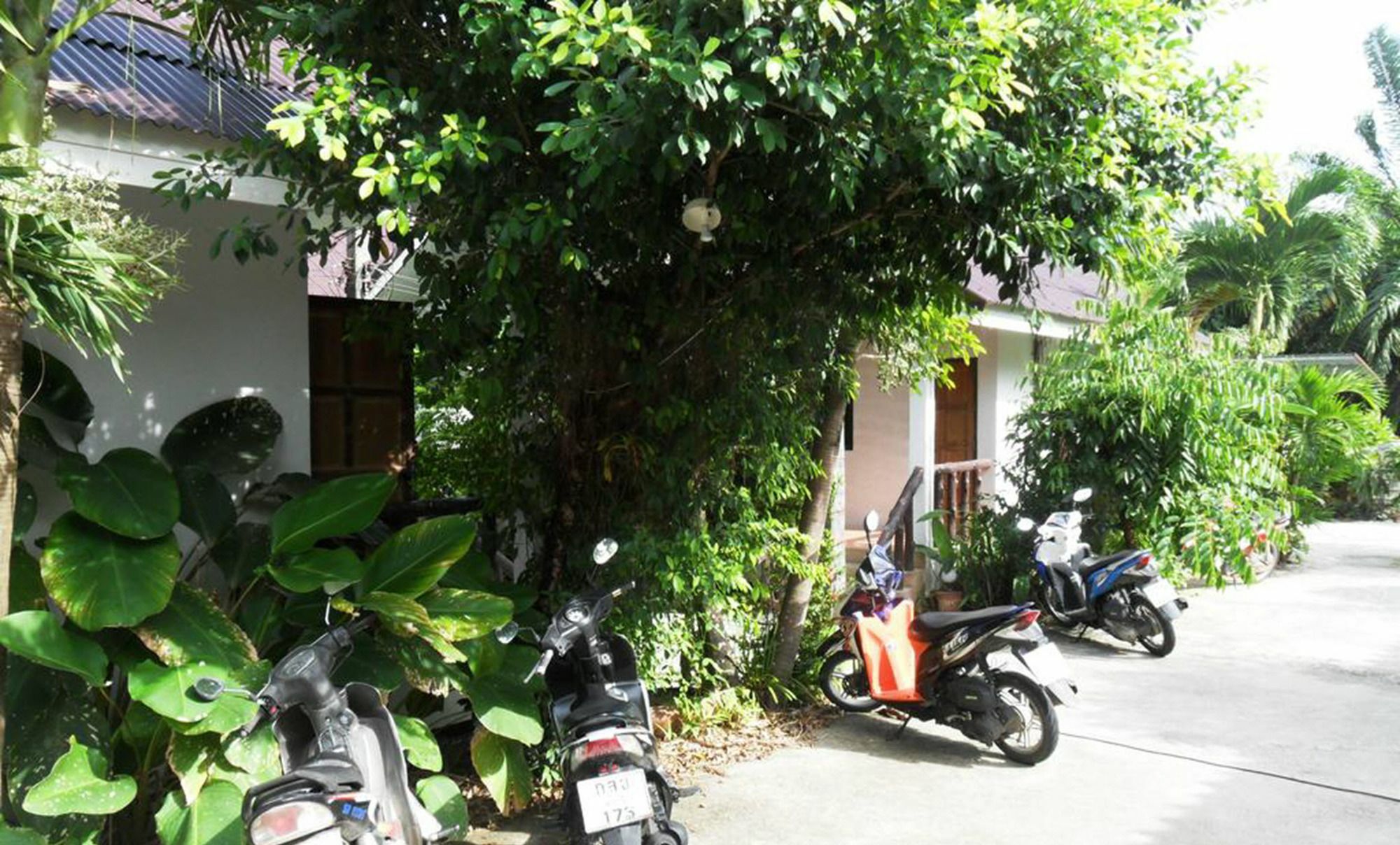 Aonang Sr Bungalows Ao Nang Εξωτερικό φωτογραφία